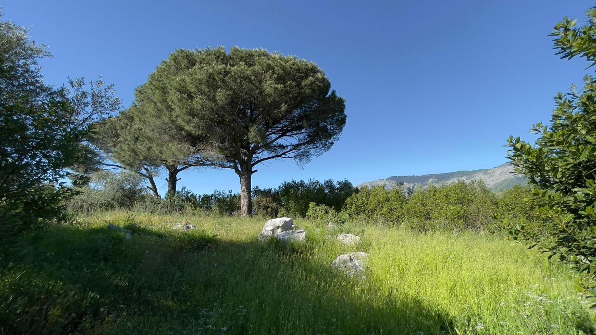 Relais Villa Giusso Vico Equense Esterno foto